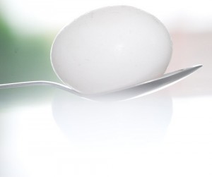 egg