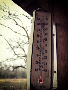 thermometer