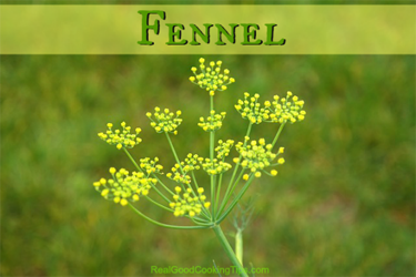 Fennel for Italian-style Sausage and Peppers and Onions 