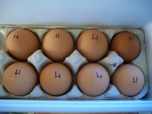 Why I Have H-eggs in My Refrigerator