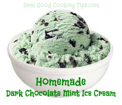 Homemade Dark Chocolate Mint Chip Ice Cream Recipe